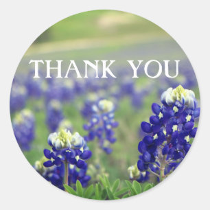 Blaue Blaue Blumen Texas Floral  Runder Aufkleber