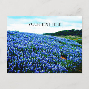 Blaue Blaue Blumen Texas Texanisch Floral  Postkarte