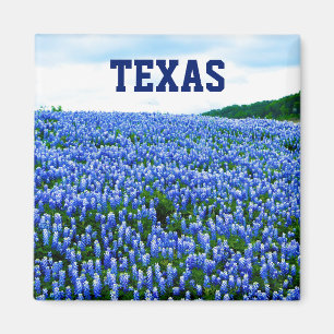 Blaue Blaue Blumen Texas Texanische Blumige Magnet