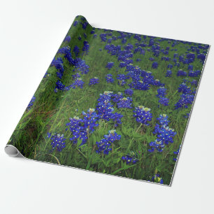 Blaue Blauebonnets-Blumen Texas Texan Elegant  Geschenkpapier