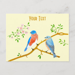 Blaue Blaumeisen Postkarte