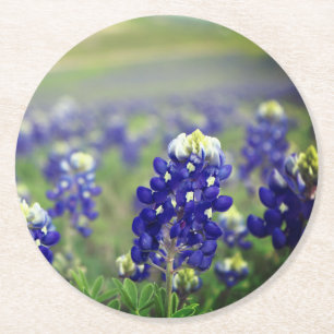 Blaue Bluebonnets-Blumen Texas Texanisch Floral Runder Pappuntersetzer