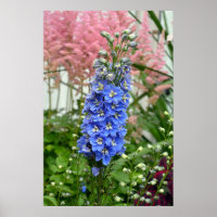 Blaue Blume