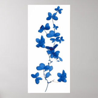 Blaue Blume Poster
