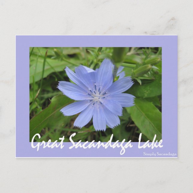 Blaue Blume Postkarte (Vorderseite)