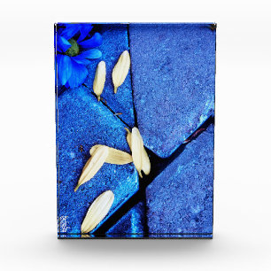 Blaue Blume und gelbe Blütenblätter Fotoblock