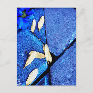 Blaue Blume und gelbe Blütenblätter Postkarte
