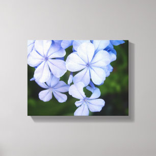 Blaue Blumen-Bokeh Leinwanddruck