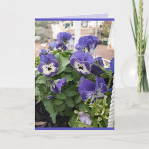 Blaue Blumen Florale Stiefmütterchen Viola Foto Ar Karte