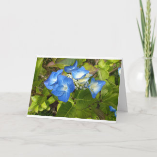 Blaue Blumen Notecard Karte