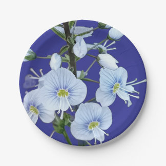 Blaue Blumen Pappteller
