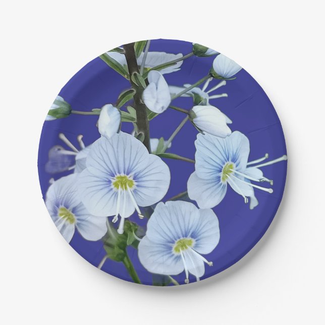 Blaue Blumen Pappteller (Vorderseite)