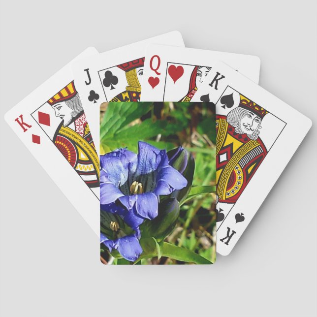Blaue Blumen  Spielkarten (Rückseite)