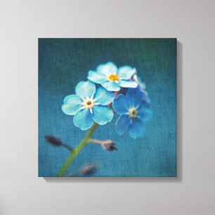 Blaue Blumen Vergessen-me-nots Macro Fotografy Leinwanddruck
