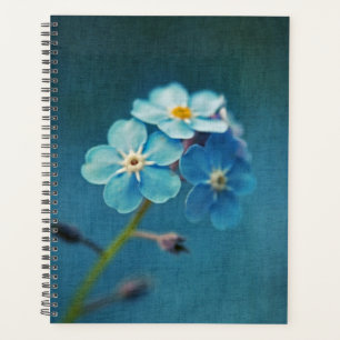 Blaue Blumen Vergessen-me-nots Macro Fotografy Planer