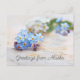 Blaue Blumen Vergessen Sie mir nicht Grüße von Ala Postkarte