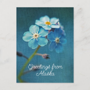 Blaue Blumen Vergessen Sie mir nicht Grüße von Ala Postkarte