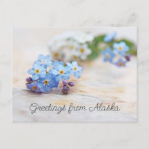Blaue Blumen Vergissmeinnicht Grüße aus Alaska