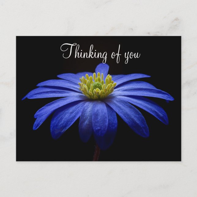 Blaue Blumenpostkarte Postkarte (Vorderseite)