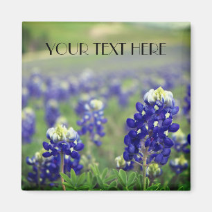 Blaue Blüten Bluebonnets Texas texanisch Floral Magnet