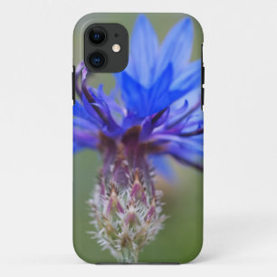 Blaue Blüten Marienkäfer Frieden Liebe Schicksal K Case-Mate iPhone Hülle