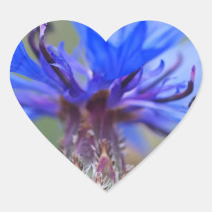 Blaue Blüten Marienkäfer Frieden Liebe Schicksal K Herz-Aufkleber