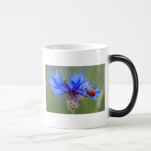 Blaue Blüten Marienkäfer Frieden Liebe Schicksal K Verwandlungstasse