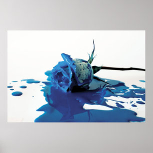 Blaue Bluten-Rose Poster