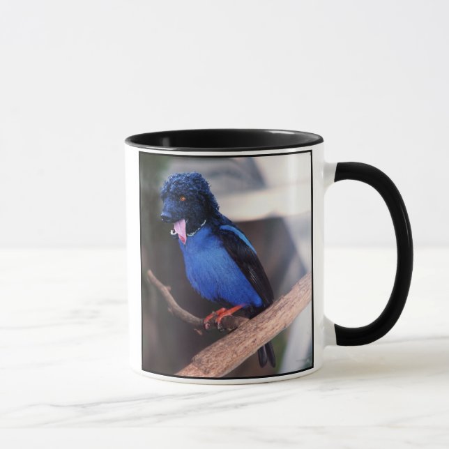 Blaue Boodle-Tasse Tasse (Rechts)
