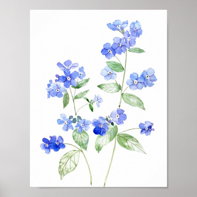 Blaue Brunnera-Blume Wildblume Poster (Vorne)