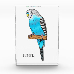 Blaue Budgerigar-Cartoon Fotoblock