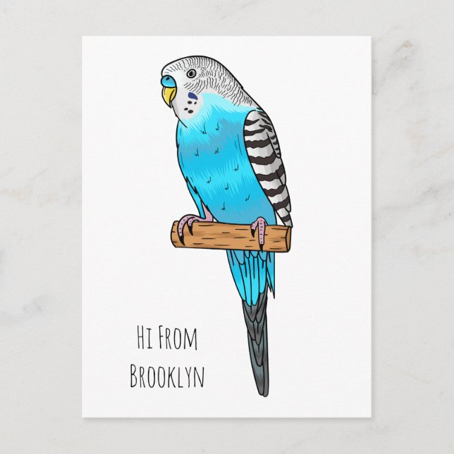 Blaue Budgerigar-Cartoon Postkarte (Vorderseite)
