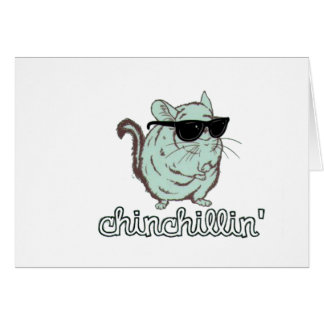 Blaue Chinchillin Chinchilla