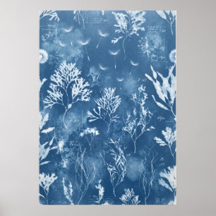 Blaue Cyanotypie-Seetang-Botanik-Journal-Kunst Poster