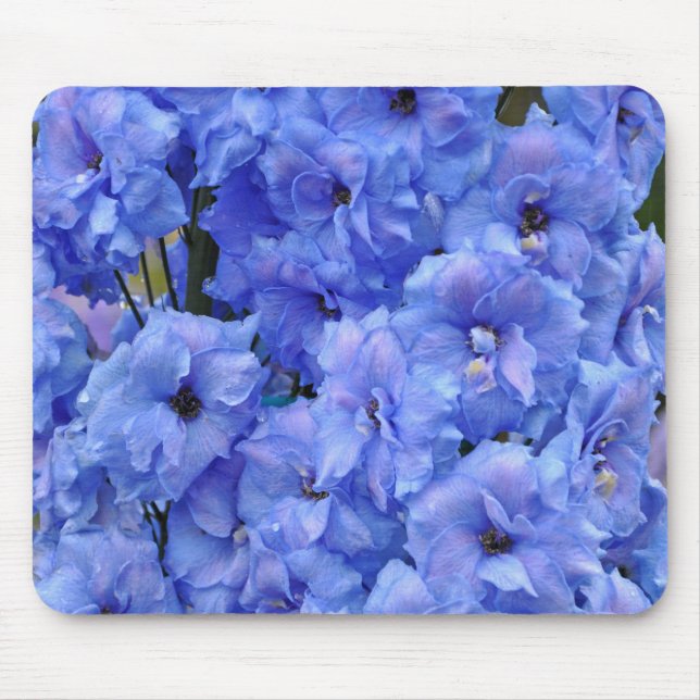 Blaue Delphinium-Blume Mousepad (Vorne)
