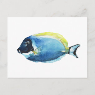 Blaue Doktorfisch Postkarte