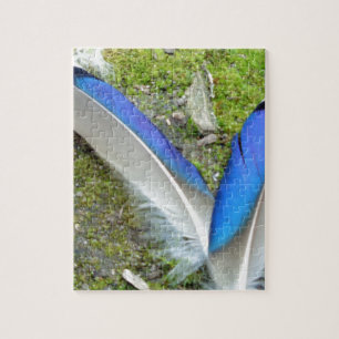 Blaue Duckfedern, Tier, Vogel Puzzle