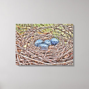 Blaue Eier in Nest gepanzerten Lavas Leinwanddruck