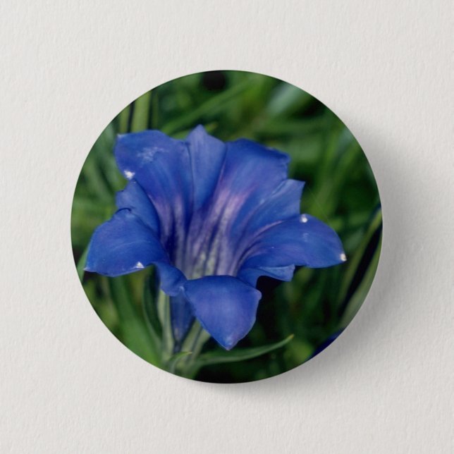 Blaue Enzian-Blumen Button (Vorderseite)