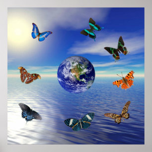 Blaue Erde Schmetterlinge Poster