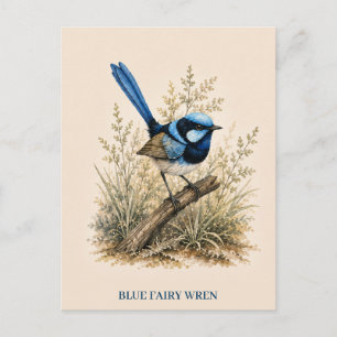Blaue-Feenzaunkler-Postkarte Bush Edition Postkarte