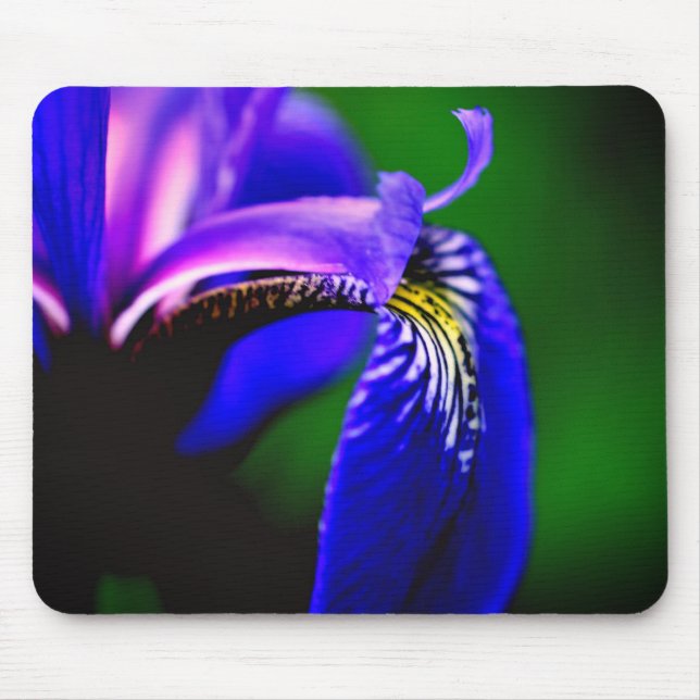 Blaue Flagge Iris Blume Petal Mousepad (Vorne)