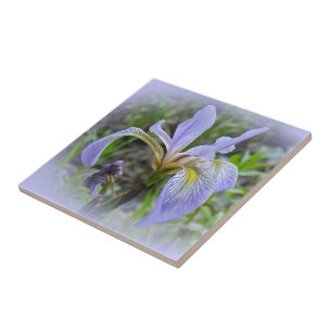 Blaue Flagge - Wild Iris Fliese