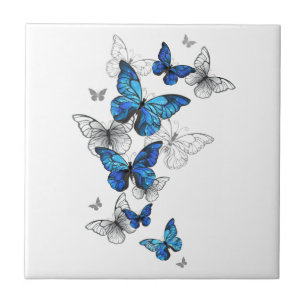 Blaue fliegende Schmetterlinge Morpho Fliese