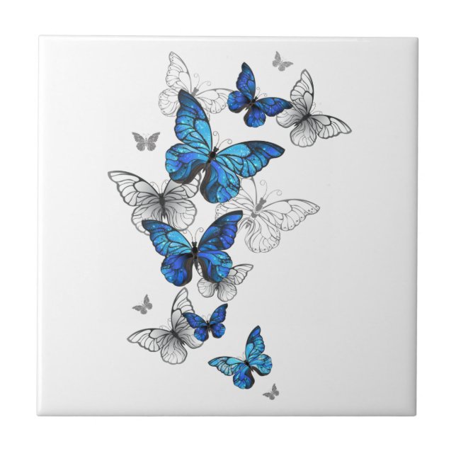 Blaue fliegende Schmetterlinge Morpho Fliese (Vorderseite)
