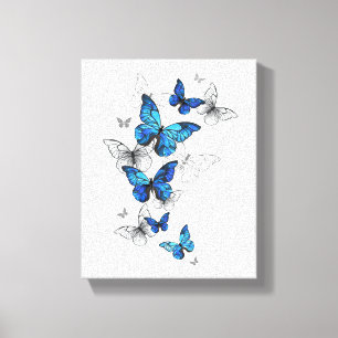 Blaue fliegende Schmetterlinge Morpho Leinwanddruck