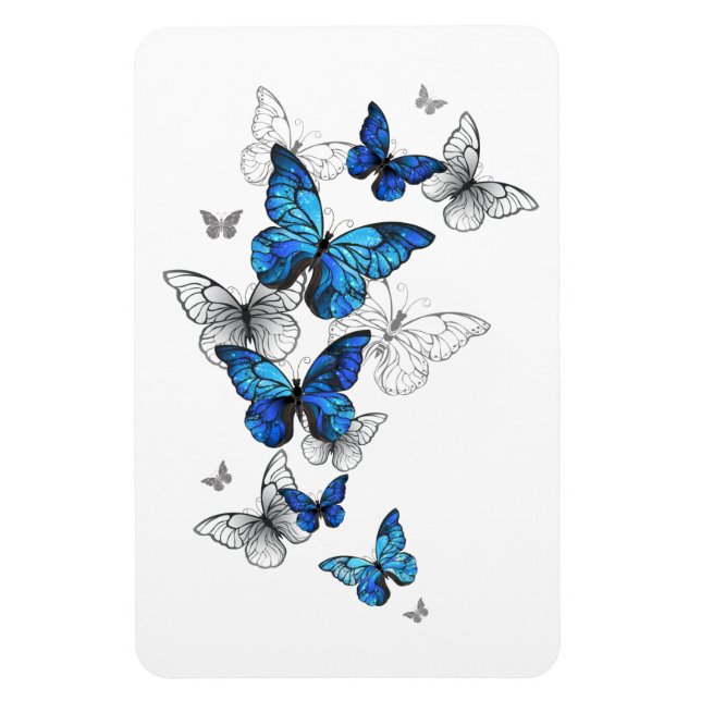 Blaue fliegende Schmetterlinge Morpho Magnet (Vertikal)