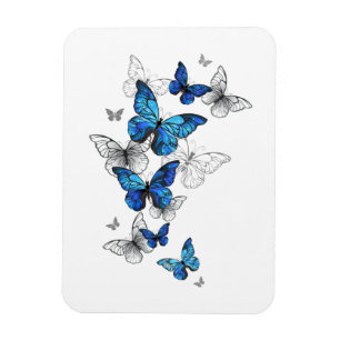 Blaue fliegende Schmetterlinge Morpho Magnet