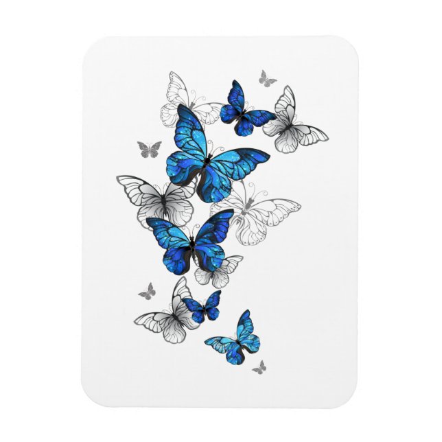 Blaue fliegende Schmetterlinge Morpho Magnet (Vertikal)