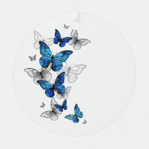 Blaue fliegende Schmetterlinge Morpho Ornament Aus Metall